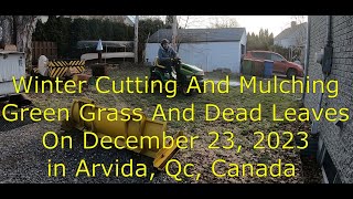 Winter Cutting And Mulching Green Grass And Dead Leaves On December 23 2023 in Arvida Qc Canada [upl. by Anerual294]