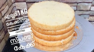 എല്ലാ കേക്കിനും പറ്റുന്ന വാനില സ്പഞ്ച് കേക്ക് vanillaspongecake vanillacake [upl. by Aemat]