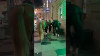 Horsewoman Lady Horse Raider 🐎 Russia 🇷🇺 Saint Petersburg horse shorts viralvideo russia [upl. by Nangem]