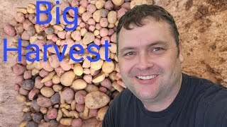 Potato Harvest  East Tennessee first year [upl. by Berners]