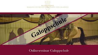 Trailer Onlineseminar quotGaloppschulequot  Fürstliche Hofreitschule Bückeburg [upl. by Blasius]