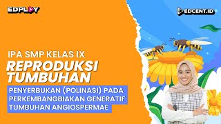 Reproduksi Tumbuhan Polinasi Perkembangbiakan Generatif Tumbuhan Angiospermae  SMP Kelas 9 Part 5 [upl. by Lener717]