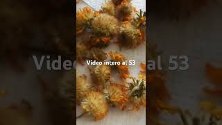 Infuso di arnica alcolico naturale arnica antidolorifico [upl. by Ynnij]