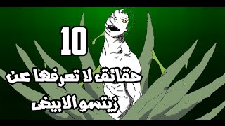 10 حقائق قد لا تعرفها عن زيتسو الابيض [upl. by Reddin]