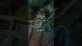 Sorat yasaayat 8283 ardo tarjamah YouTube Short ramzanhanjra [upl. by Lynsey465]