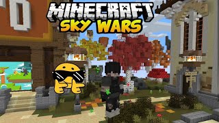 Minecraft Skywars ist back Und ich rede viel zu viel xD [upl. by Eecyal]