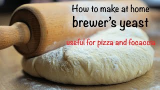 Homemade brewers yeast here it is the easy recipe [upl. by Nomolos688]