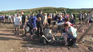 Abbotsbury Swan Round Up 2013 [upl. by Steffie]