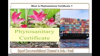 S  149 What is Phytosanitary Certificate in Urdu  Hindi [upl. by Aneg]