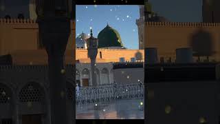 Rawdah Rasoolullah  Madina [upl. by Kayley]