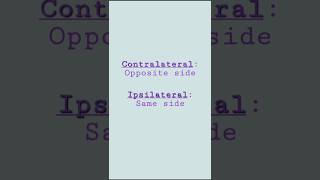 Contralateral vs Ipsilateral ytshorts shorts [upl. by Ykcul]