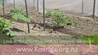 The difference Good compost can make [upl. by Bigod600]