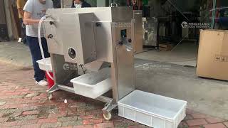 Fish Processing Codfish Fillet Tilapia Carp Machine Pollack Splitting Machine Fish Cutting Machine [upl. by Sorips]