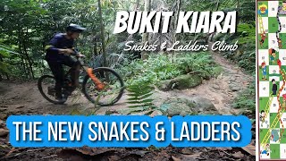 Smooth Climb Upgraded Snakes amp Ladders Trail Section at Bukit Kiara [upl. by Talya332]