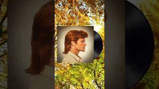 quotMy Mulletquot drops Oct 4th [upl. by Eveneg860]