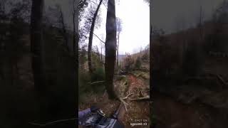 Secret Mountain Bike Trail in Cwmcarn bikes moutainbiking moutainbike downhill [upl. by Kliment]