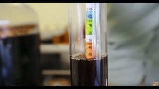 Using a Hydrometer [upl. by Farica224]