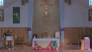 Mass at St Andrew the Apostle Church Sudbury [upl. by Jarnagin]