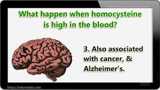 What is homocysteine  Advent Cry [upl. by Cissiee]