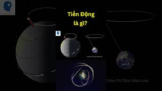 Tiến Động là gì  Tri thức nhân loại [upl. by Gatian]