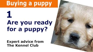 Buying a puppy or dog  Kennel Club expert advice [upl. by Attelrak]