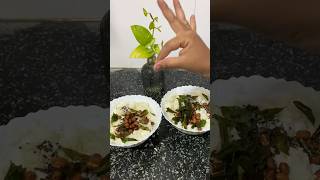 Curd Rice Recipe 🍚😊curdrice shorts odiavlogger odiashorts viral yt ytshort [upl. by Esoranna298]