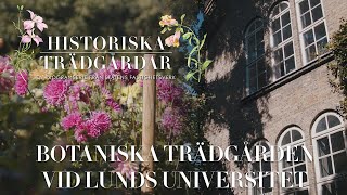 Historiska trädgårdar — Botaniska trädgården vid Lunds universitet [upl. by Clotilde]