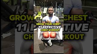 11 effective chest workouts to grow your pecs bigger  how to grow bigger chest [upl. by Ahseer]