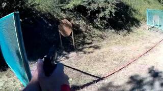 MrCZshooter quotFrench Handgun National Championship 2014quot [upl. by Haneeja464]