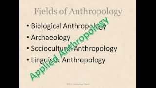 What is Anthropology [upl. by Ydospahr350]