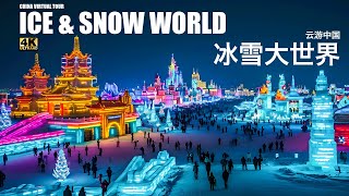 🇨🇳 4K  Virtual Harbin  Discover the Magic of Chinas quotIce amp Snowquot City  云游哈尔滨：探索中国冰雪之城的魅力中国徒步之旅 [upl. by Nedarb]