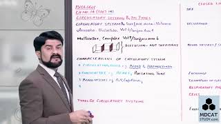 BIOLOGY CHAPTER TRANSPORT CLASS 11 LEC14 CIRCULATORY SYSTEM AND ITS TYPESmp4 [upl. by End208]