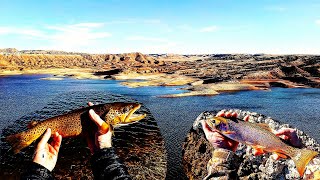 Expedition Alcova  Fishing Miles of Shoreline For Huge Trout and Walleye Finding Lost Treasures [upl. by Dina]