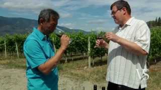 BC Winegrowers Series  Sandhill Wines [upl. by Alonzo]