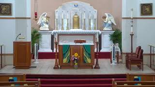 THE DAILY MASS  Corpus Christi Catholic Church celebrates Mass every FRIDAY at 830 AM [upl. by Alliber]