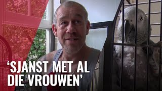 Papegaai Coco flirt met voorbijgangers op de Wallen [upl. by Aihsrop]