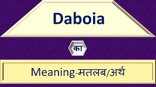 Daboia Meaning In Hindi  Daboia Ka Hindi Me Matlab Kya Hota Hai  English to Hindi Word Meaning [upl. by Ynatsyd]