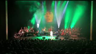 ‘DESPERADO’ Carpenters with TONI LEE Live in Dublin with Orchestra Concert 2023 [upl. by Odranreb]