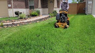 Grass Cutting ▶7 [upl. by Vicki878]