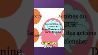 Les 4 hormones essentielles pour plus de bonheur et de bienêtre [upl. by Eenhpad]