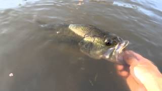 Bass fishing at Lake Overholser in Oklahoma City [upl. by Ecirual297]