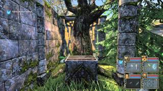 Legend of Grimrock 2  Runemasters Trial [upl. by Aowda]