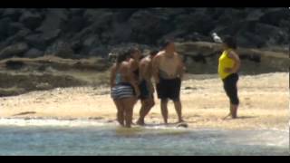 Aucklands Mission Bay beach reopened [upl. by Seravat]