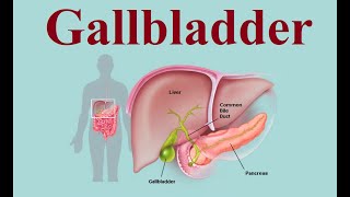 Gallbladder structure and functions  2024 [upl. by Kauslick]