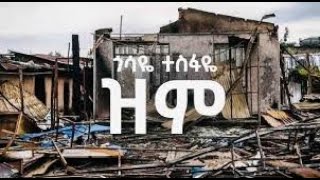 ጎሳዬ ተስፋዬ ፡ ዝም  Gossaye Tesfaye Zim  New Ethiopian Amharic Music  ጥቅምት 2017 ዓም Oct 2024 [upl. by Epner126]