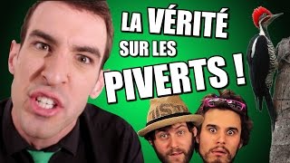 IDÉE REÇUE 18  La vérité sur les Piverts  feat Studio Vrac [upl. by Yttik]