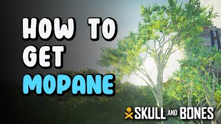 How to Get Mopane  Mopane Location  Skull amp Bones [upl. by Catherina]