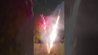 Fireworks 2024 🎆🎇 viralshort love traveldiarybyparkhakhan londondiary england trending india [upl. by Cinemod]