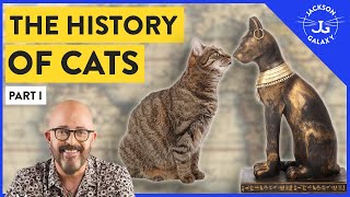 The History of Cats Part I [upl. by Alel]