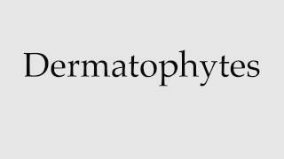 How to Pronounce Dermatophytes [upl. by Nawyt]